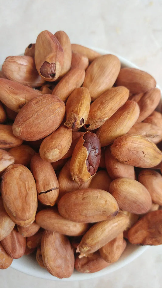 Close up of Raw Ecuador Cacao Beans