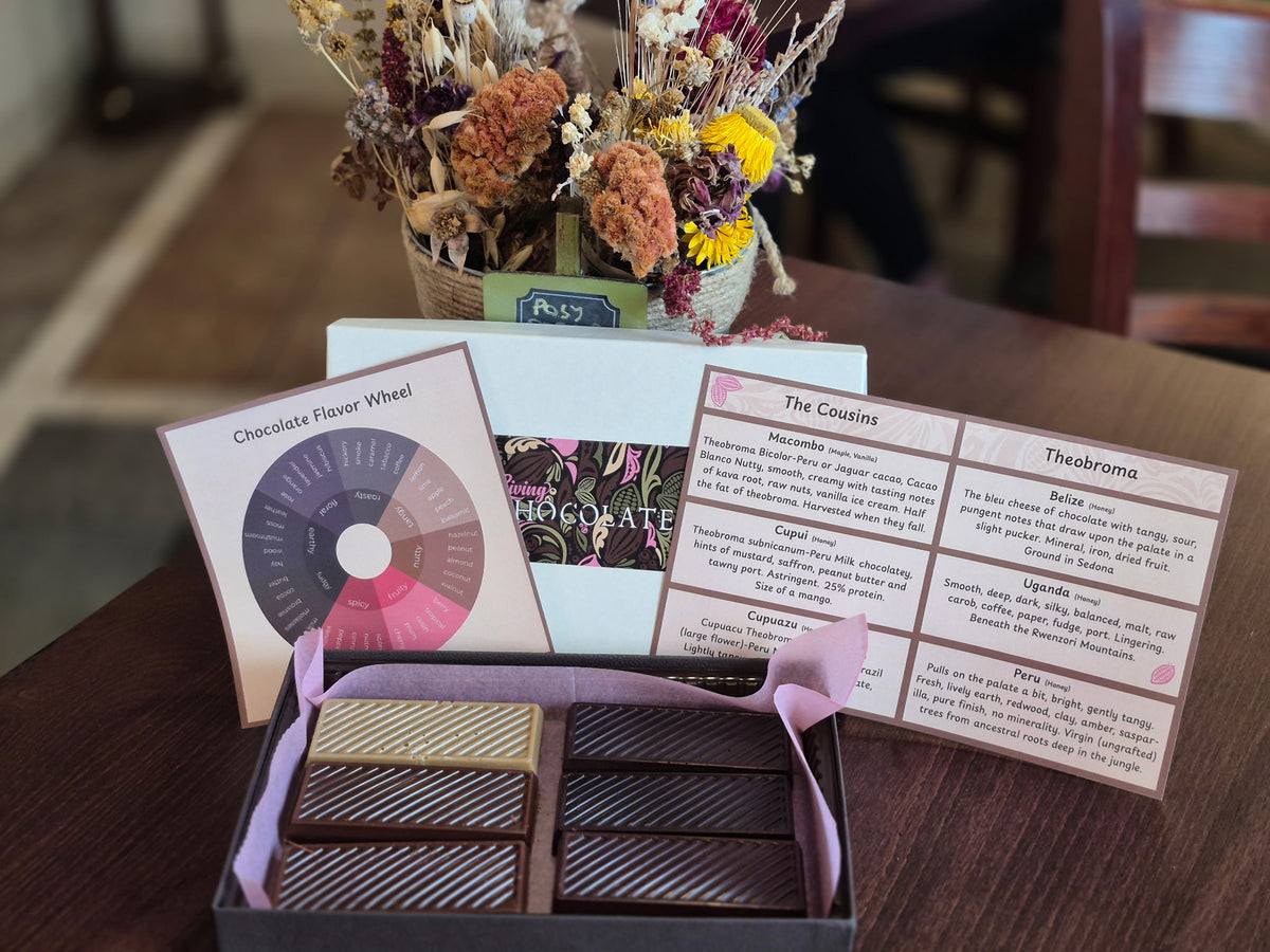 The Connoisseur Box with six ridged bars, a chocolate flavor wheel, and a guide to cacao and its botanical cousins.