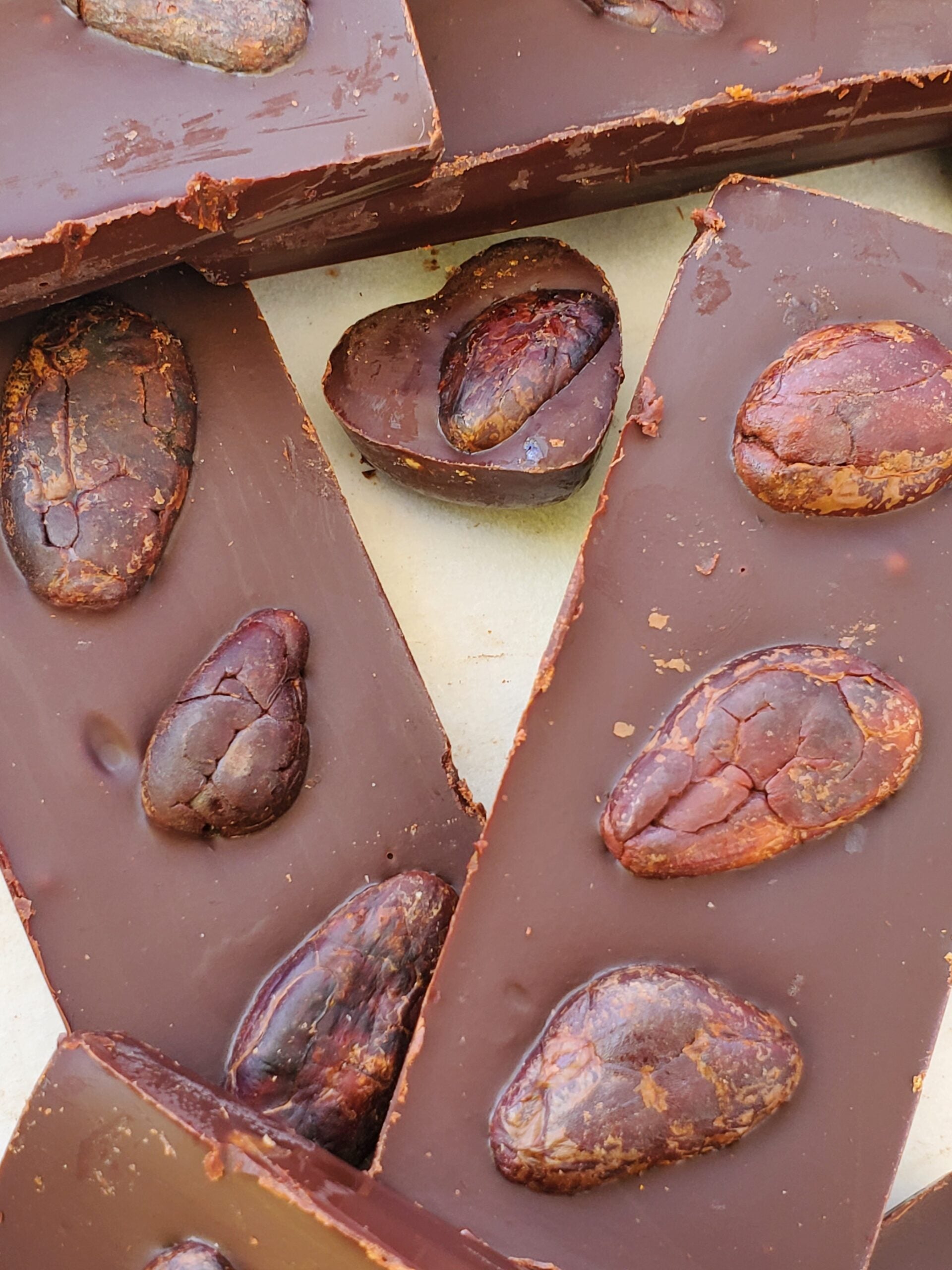 close up of cacao beans on chocolate bars