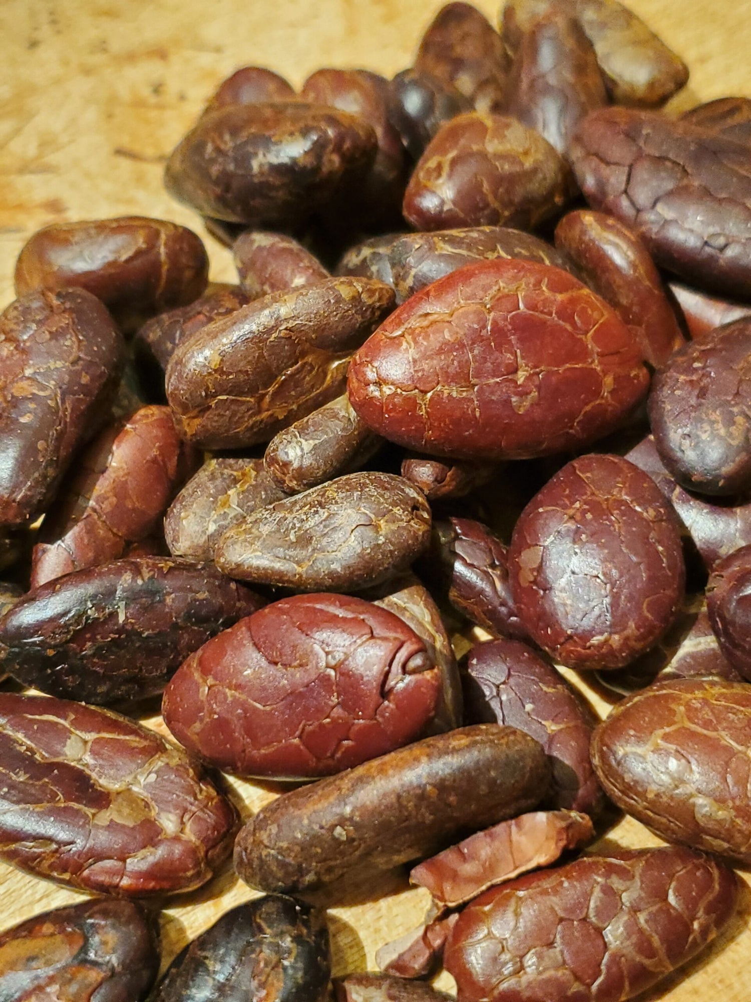 Close up of Cacao Beans without the skin